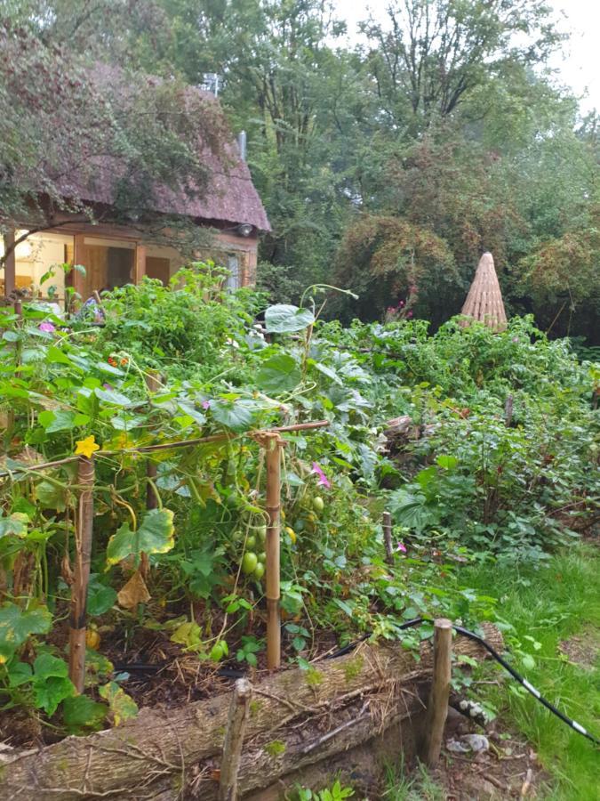 La Cabane Choussy Exterior foto